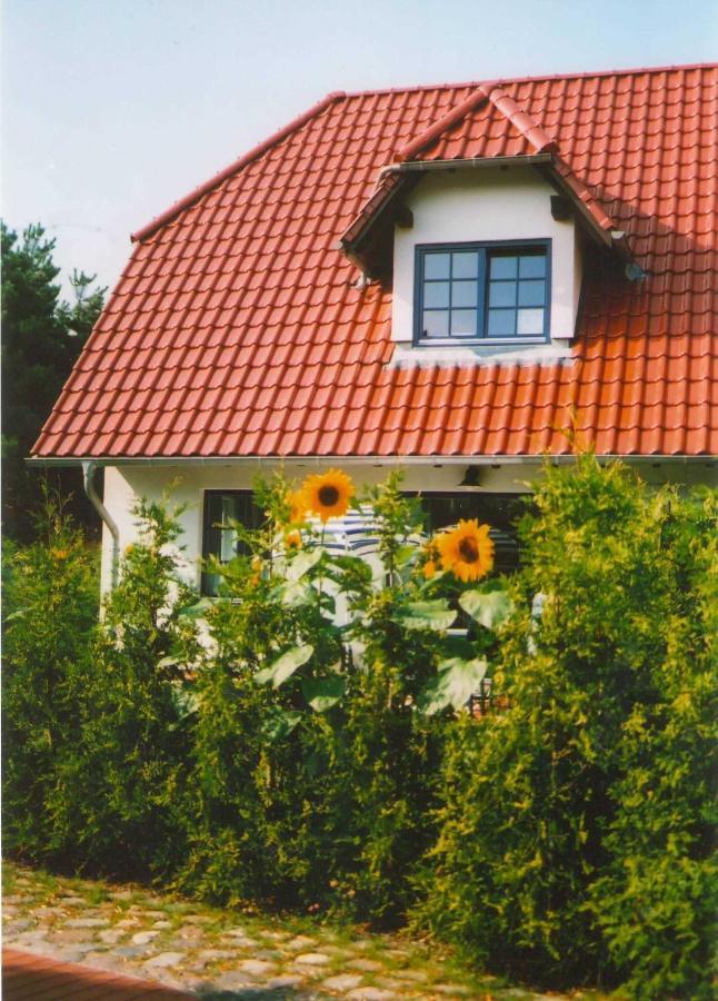 Lindenstr_32B Apartment Zingst Exterior photo